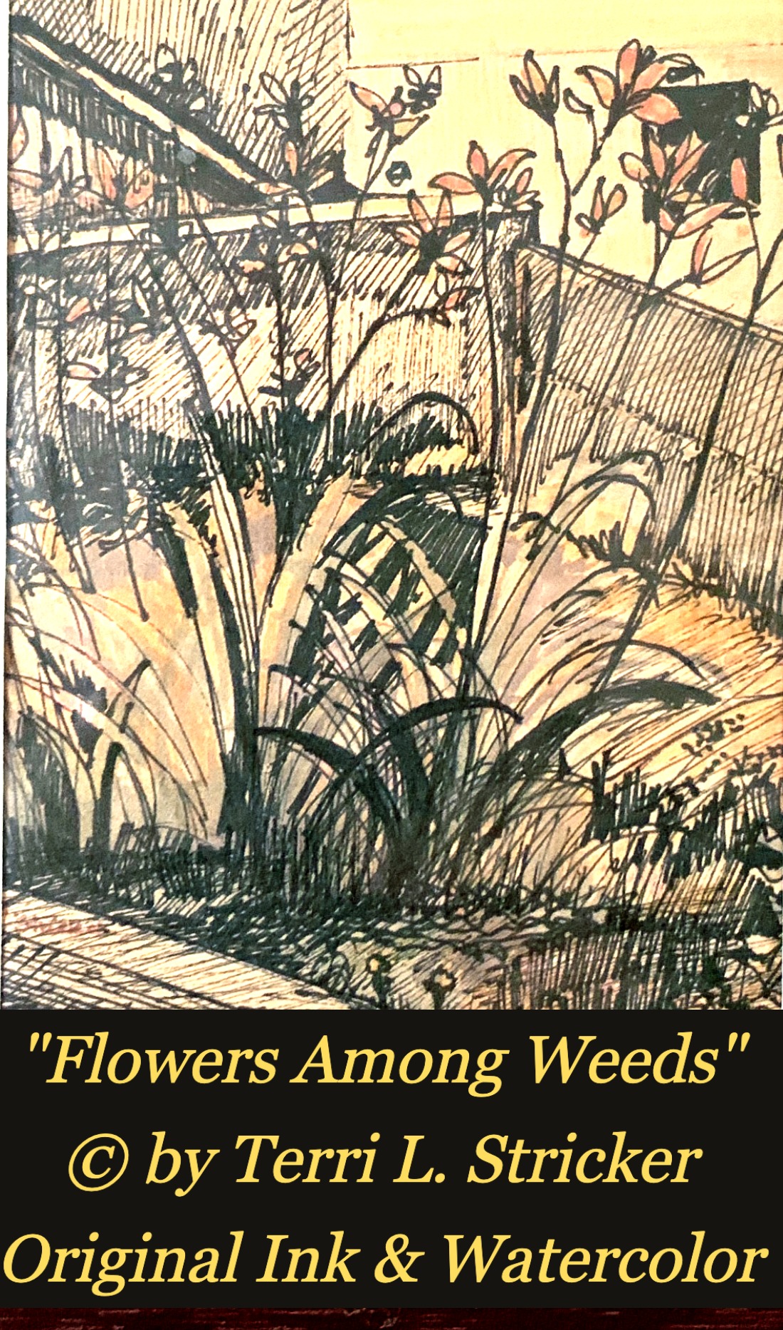Day #106 – Overcoming Divided Hearts
