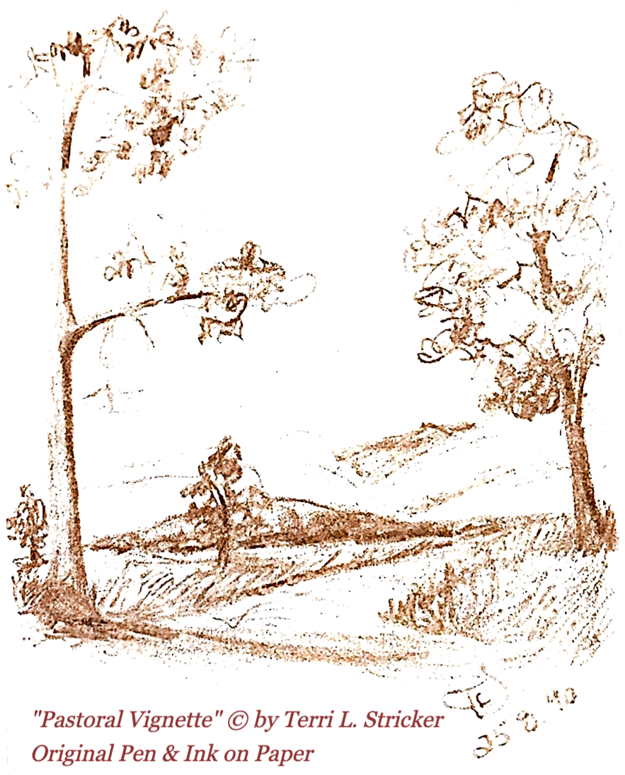 Day 205 – Help Is Available