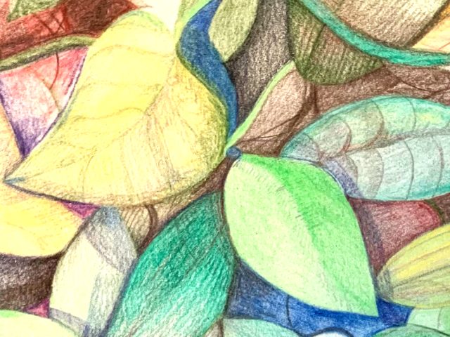 Day 292 – More Remembrances