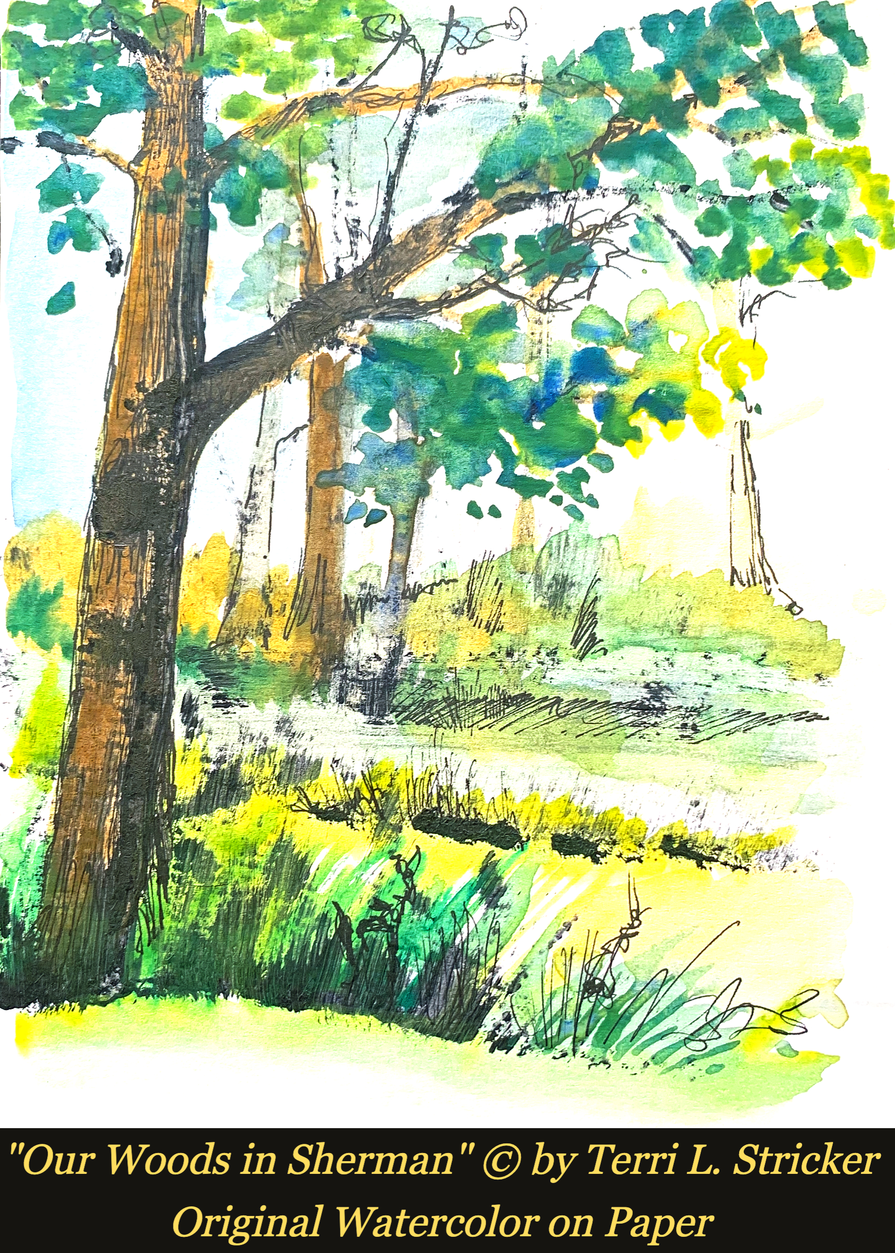 Day 349 – Intentional Foolishness
