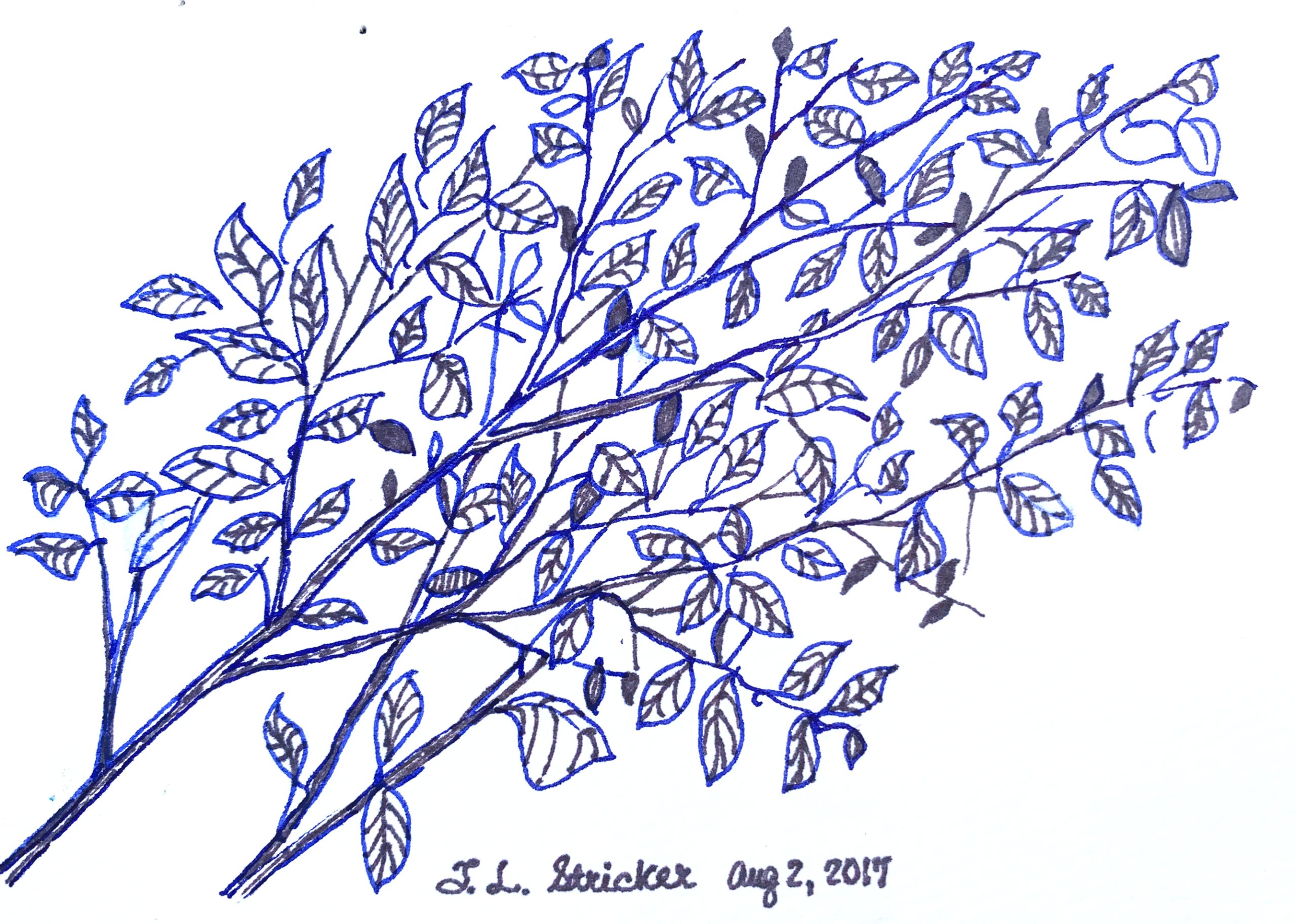 Day 38 – Useless, Empty Vessels