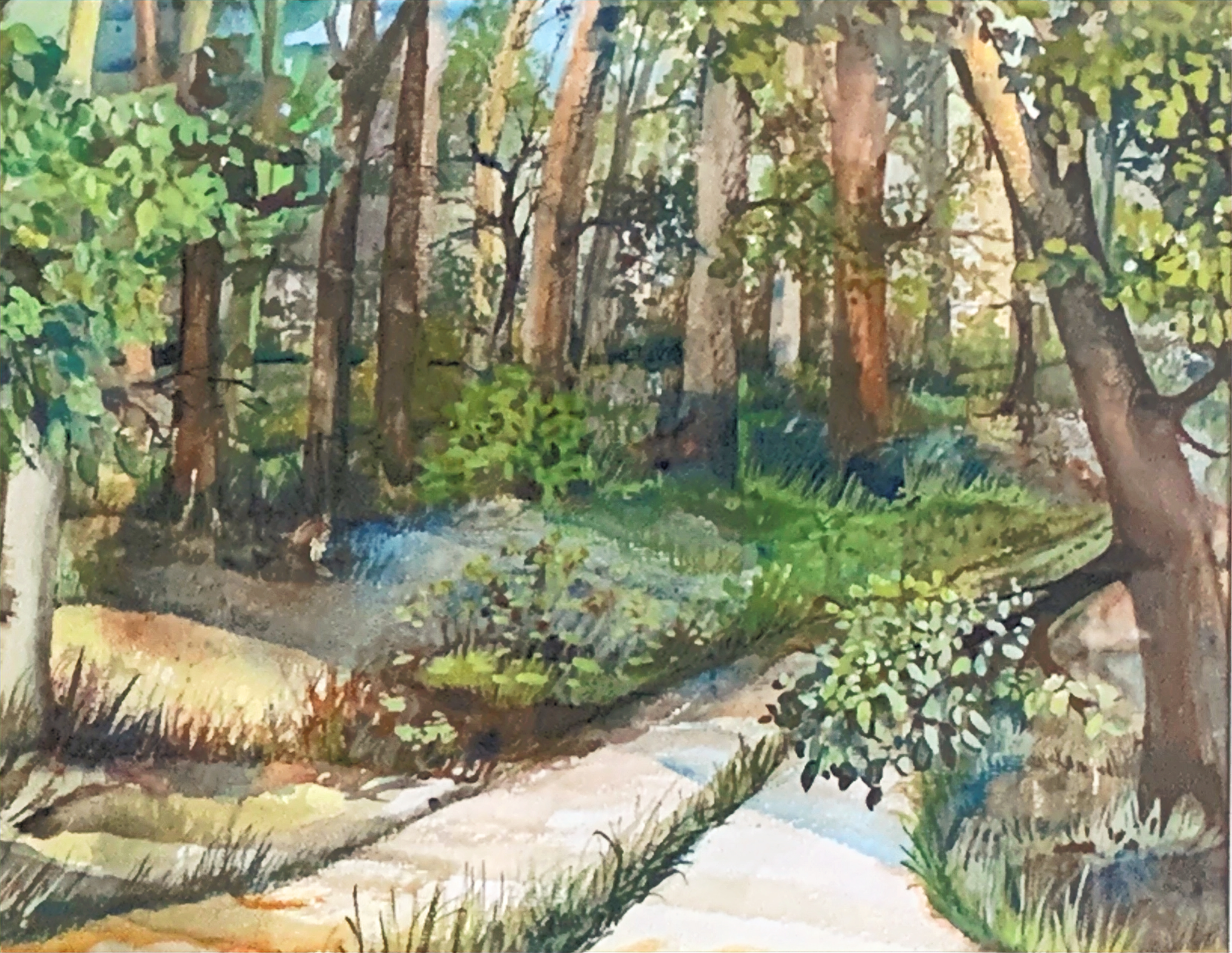 Day 124 – Making Wise Choices