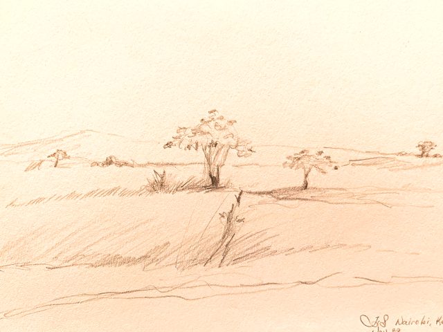 Day 337 – How We Look At What We See