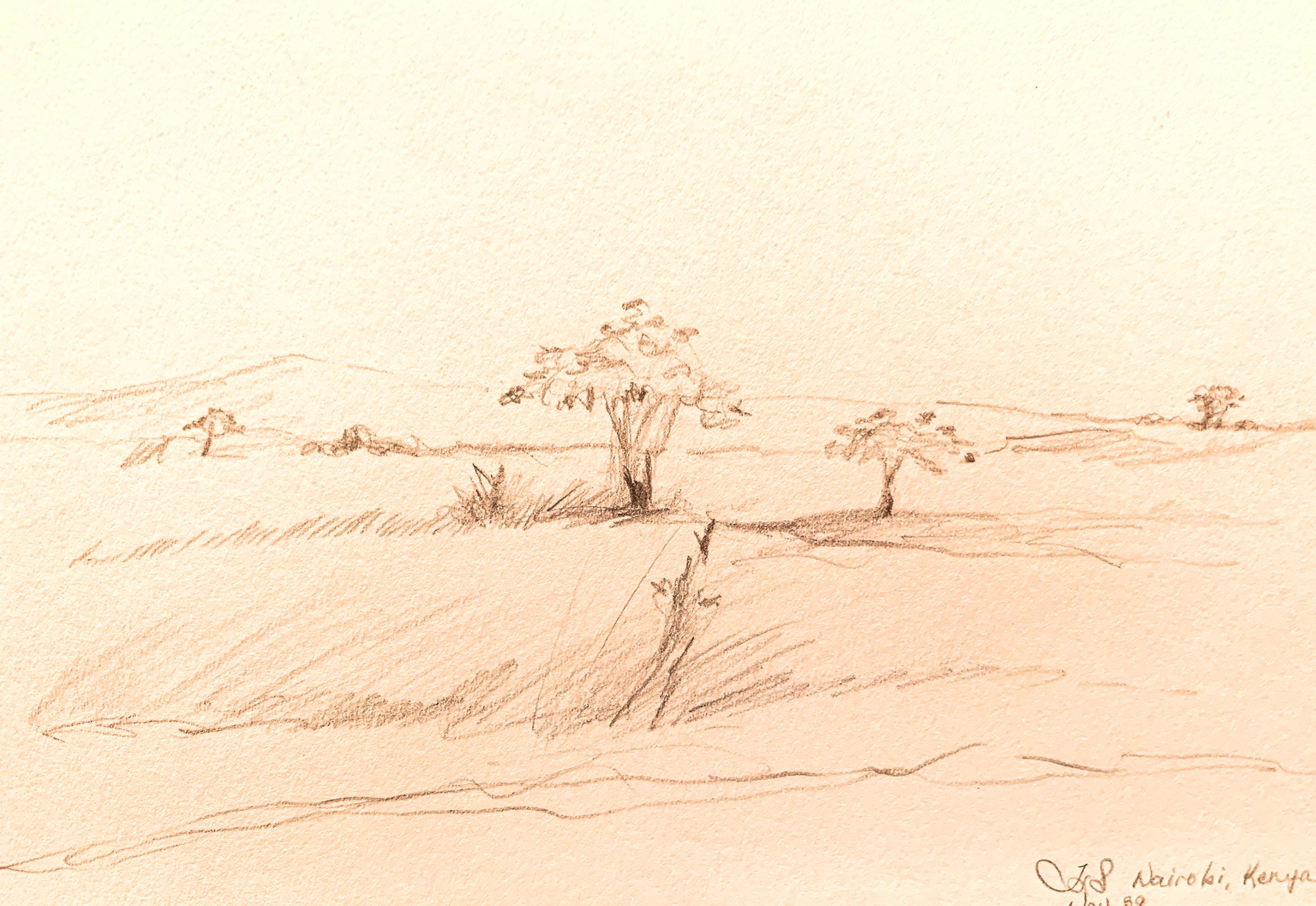 Day 337 – How We Look At What We See