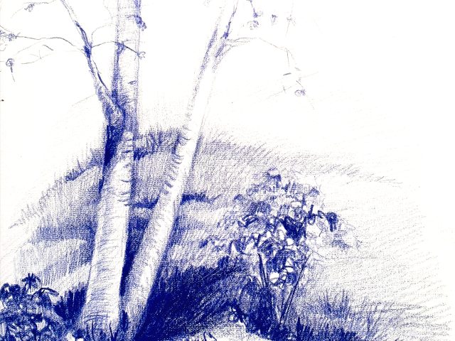 Day 78 – God Notices What We Give