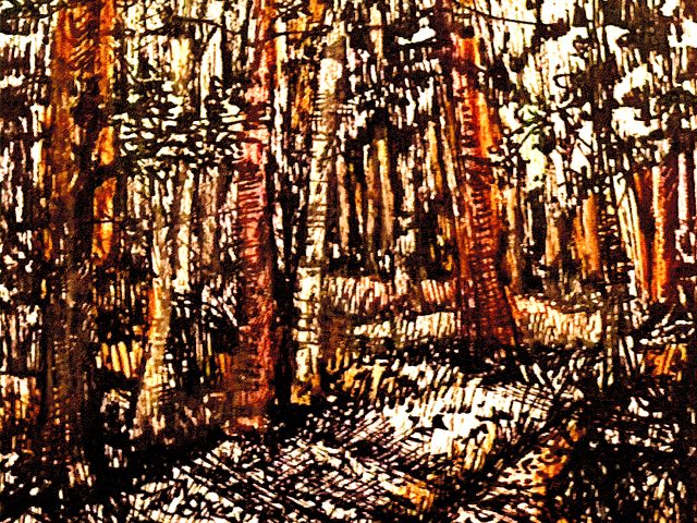 Day 69 – Looking at the Evidence