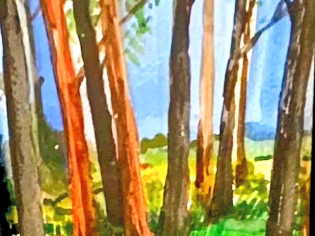 Day 224 – Relief From Days of Trouble