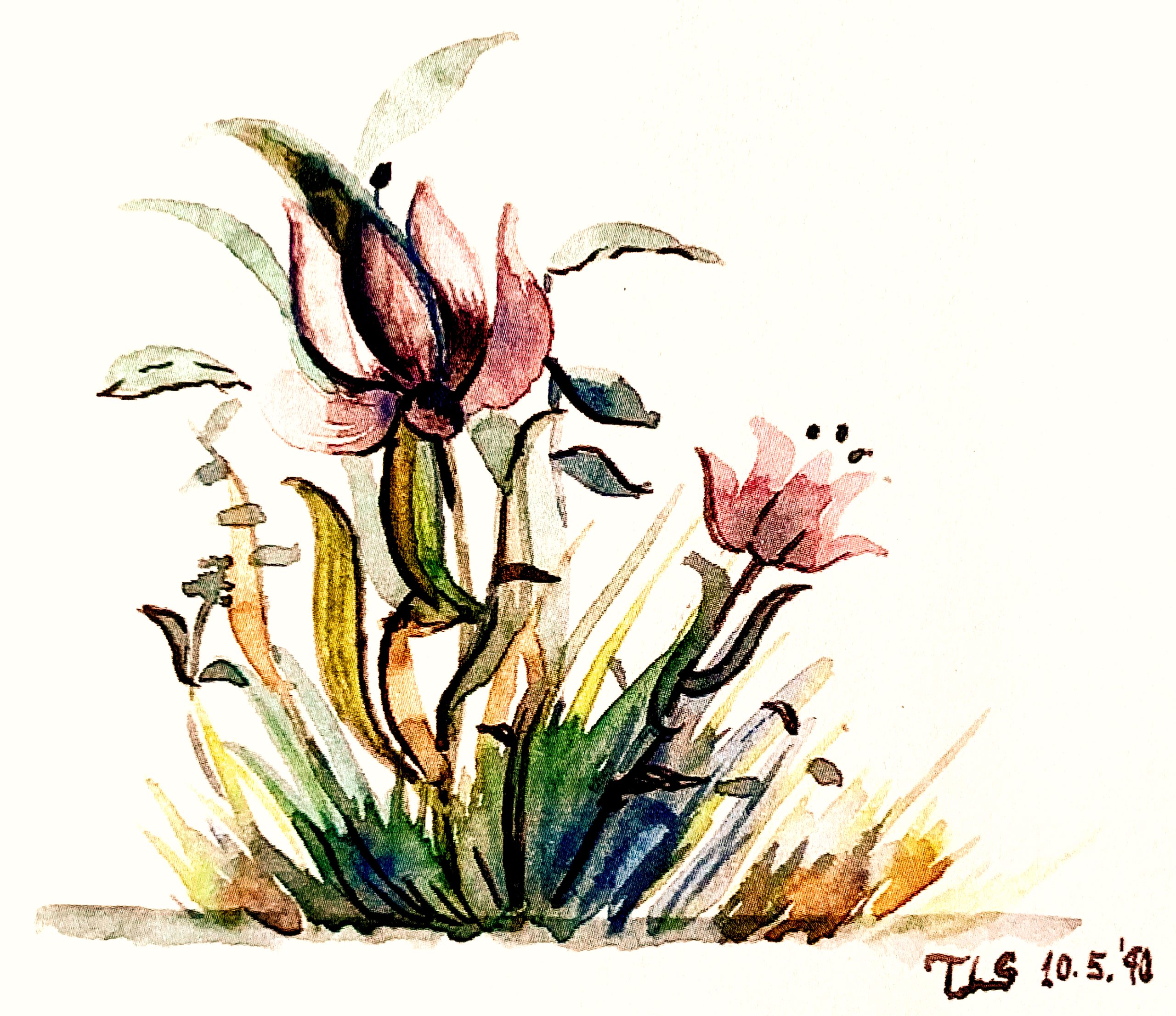 Day 227 – Solomon Was Absolutely Right